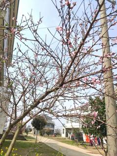 ef5d833fad7df48279dfcba6f8c0c34(1)