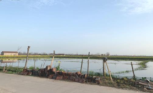 微信图片_20200311101405