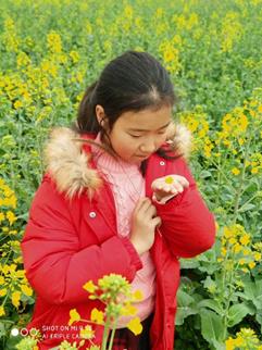 ffbc8899f40717350d6e953da2bb806