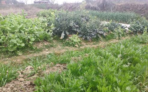 微信图片_20200311214810