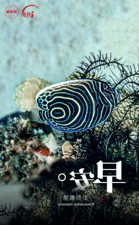 早安3