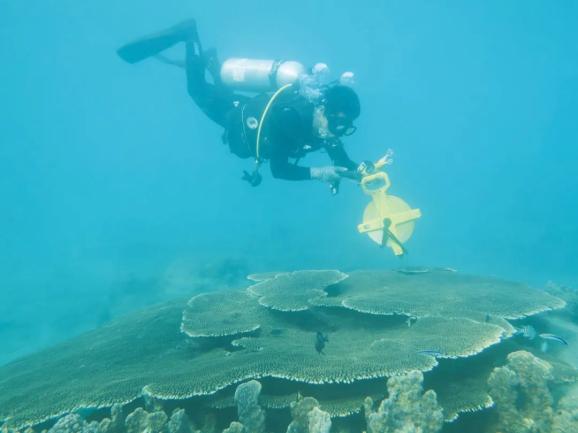 2021年10月11日，海南南沙珊瑚礁生态系统国家野外科学观测研究站正式批准建设
